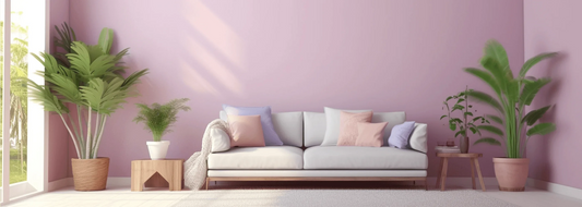 The Color Matching Aesthetics of Indoor Chair Cushions